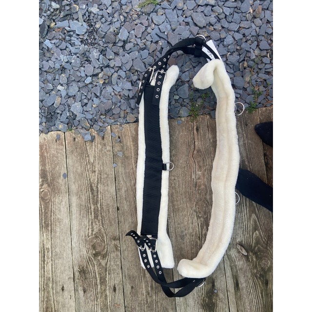 Surfaix mouton showmaster