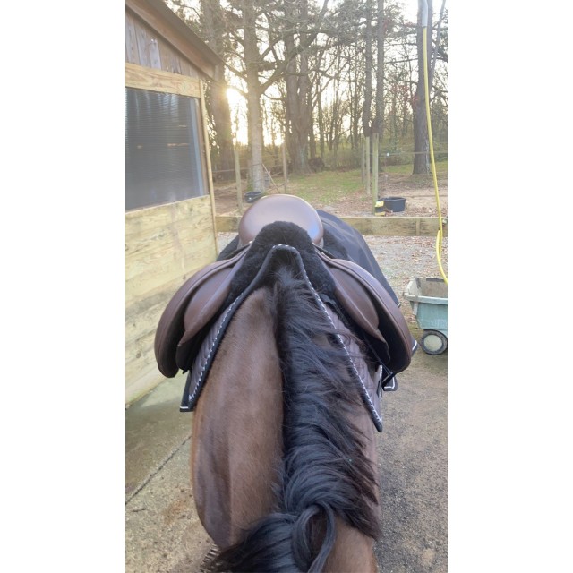 Selle mixte