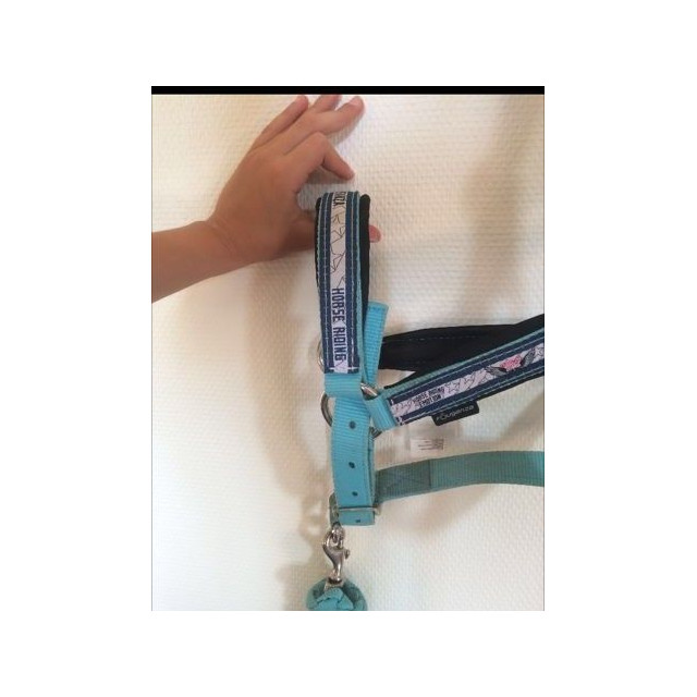 Licol bleu fushia et sa longe