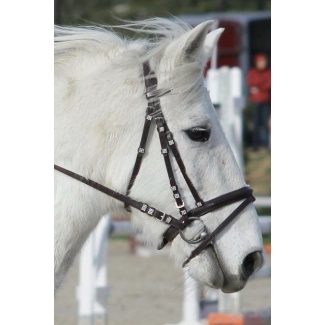 Bridon strass