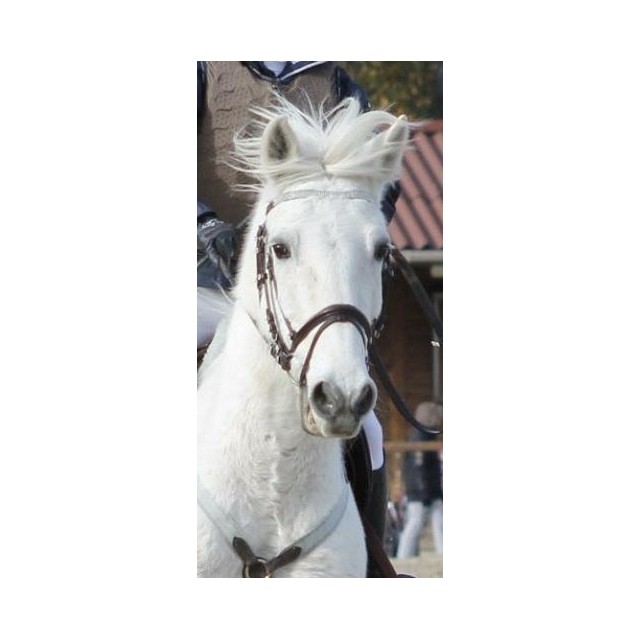 Bridon strass