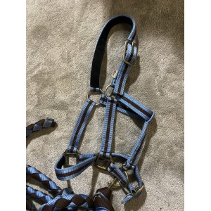 Licol bleu et marron poney