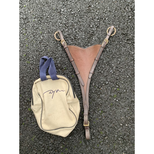 Fourche de martingale DYON