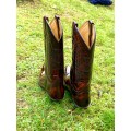Bottes Sendra cowgirl rouge (Denver Rojo) 38