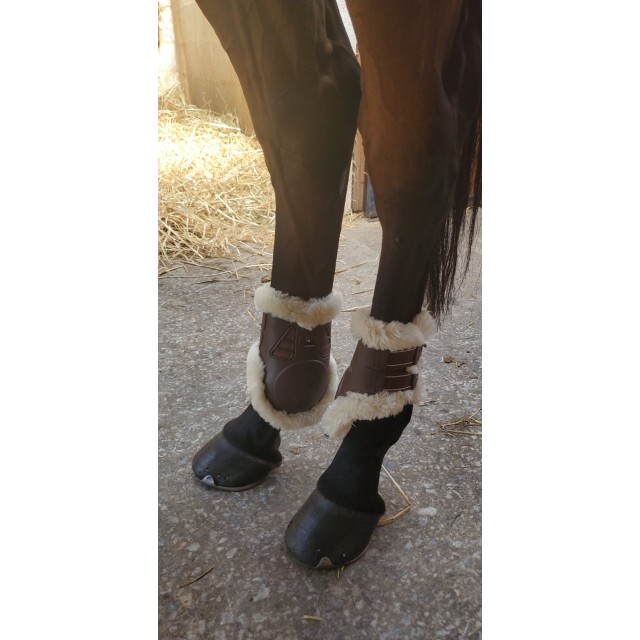 Guetres premier equine