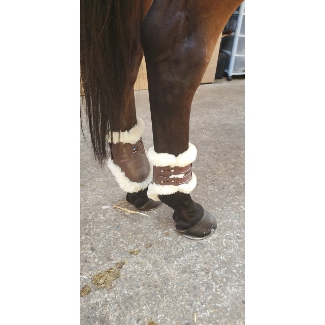 Guetres premier equine