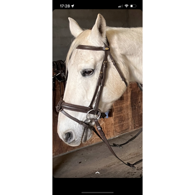 Bridon cuir marron Mountain Horse