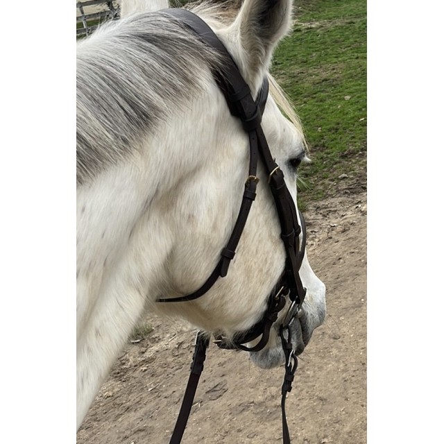 Bridon cuir marron Mountain Horse