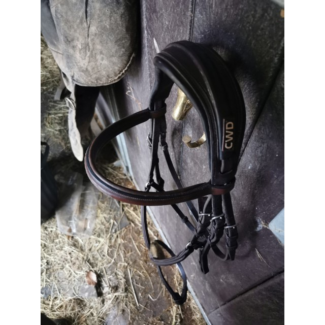 Filet cwd muserolle croisée taille 2