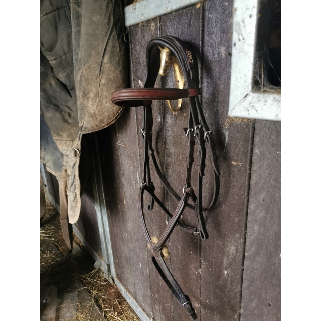 Filet cwd muserolle croisée taille 2