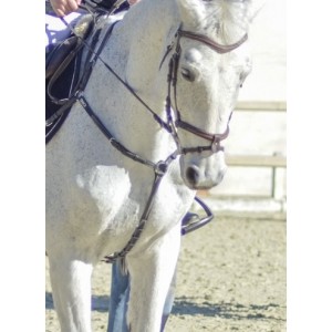 Collier de chasse CWD