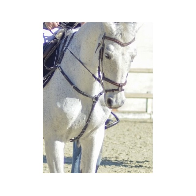 Collier de chasse CWD