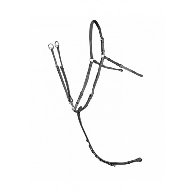 Collier de chasse CWD