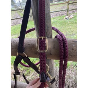 Licol kentucky