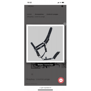 Licol Gem équitation