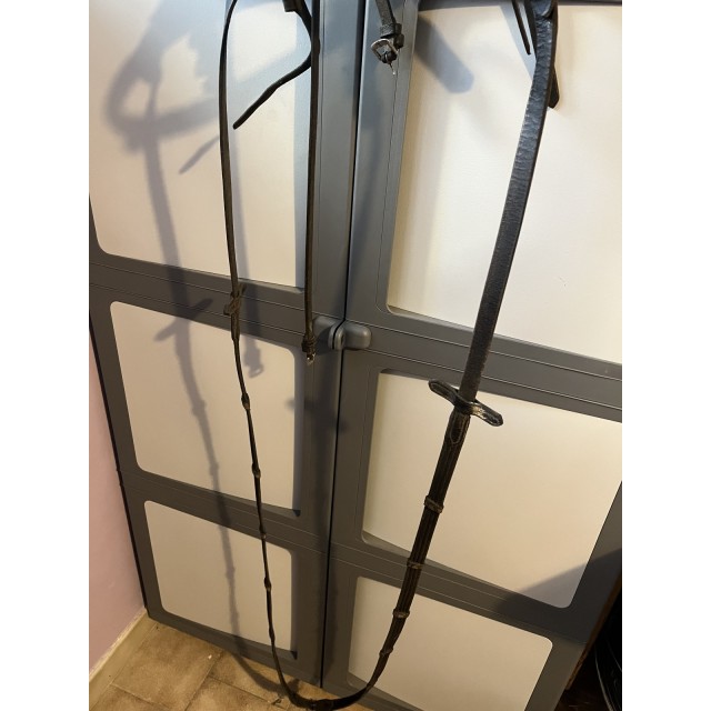 Filet cheval + renes