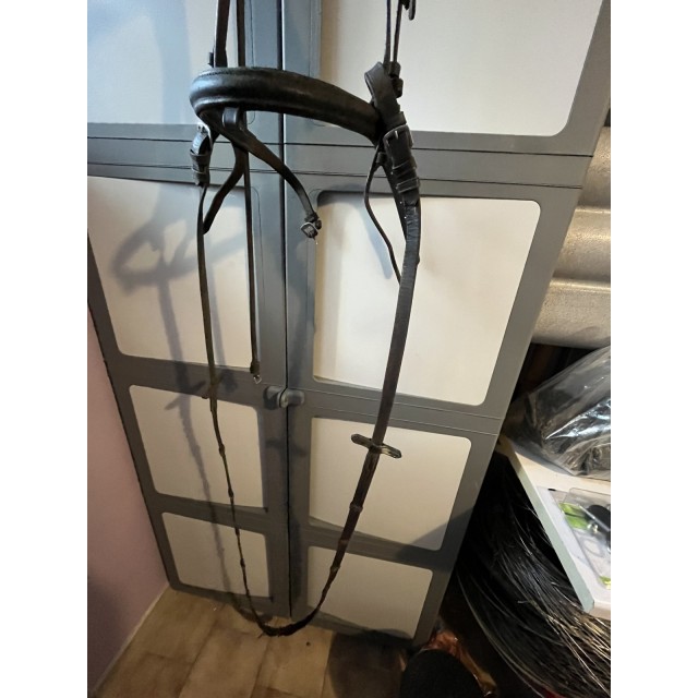 Filet cheval + renes