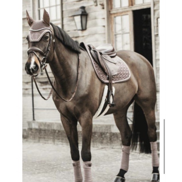 Ensemble Kentucky velvet parme