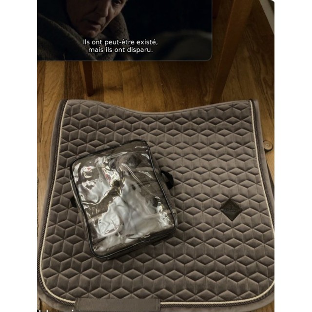 Ensemble Kentucky velvet parme