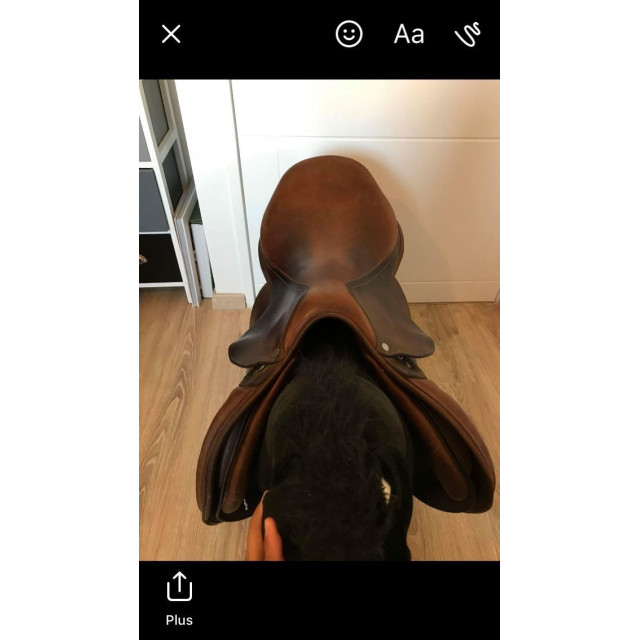 Selle antares