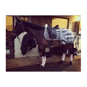 Couvre reins rambo gris