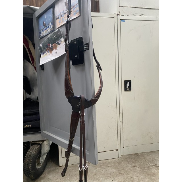 Collier de chasse martingale Antarès