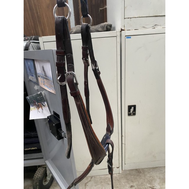 Collier de chasse martingale Antarès