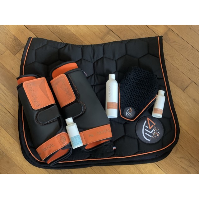 Tapis Akhal capsular