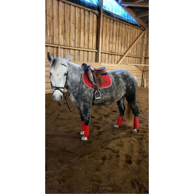 ensemble tapis et bande