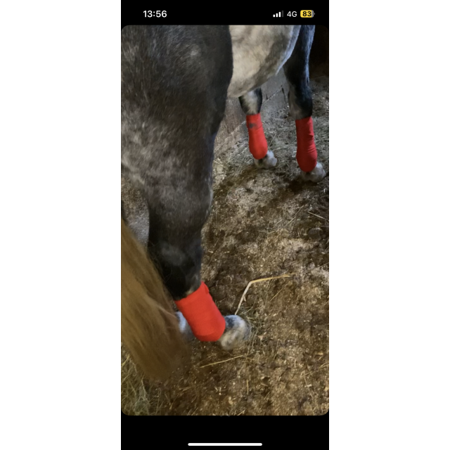 ensemble tapis et bande