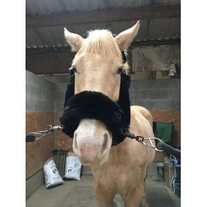 Kit Licol BR style Kentucky