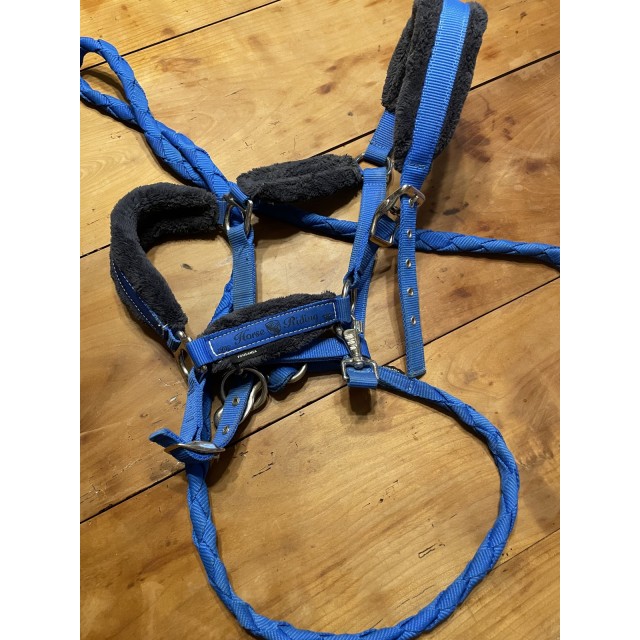 Ensemble tapis, guêtres, licol