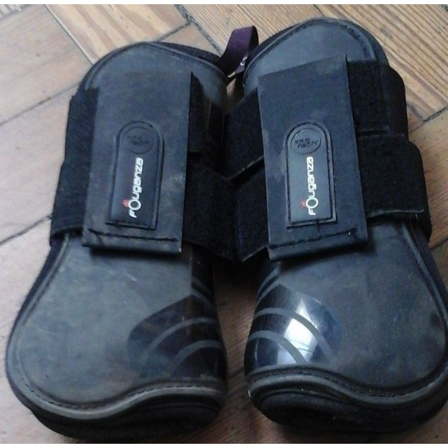 Guêtres antérieures