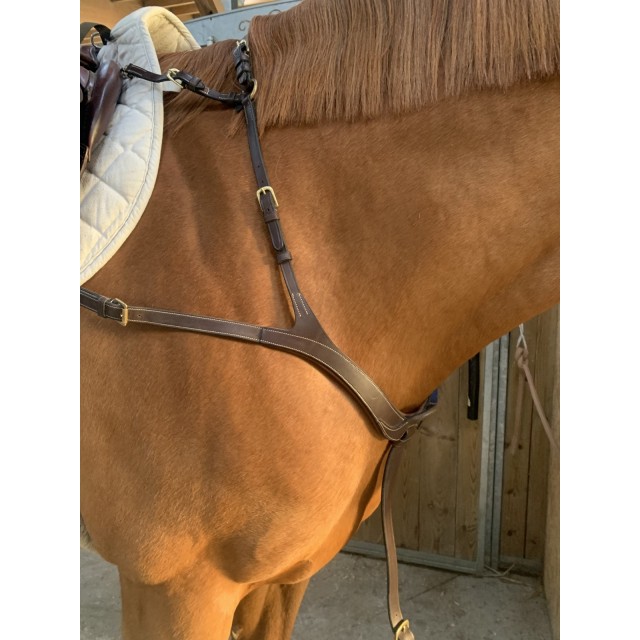 Collier de chasse DYON