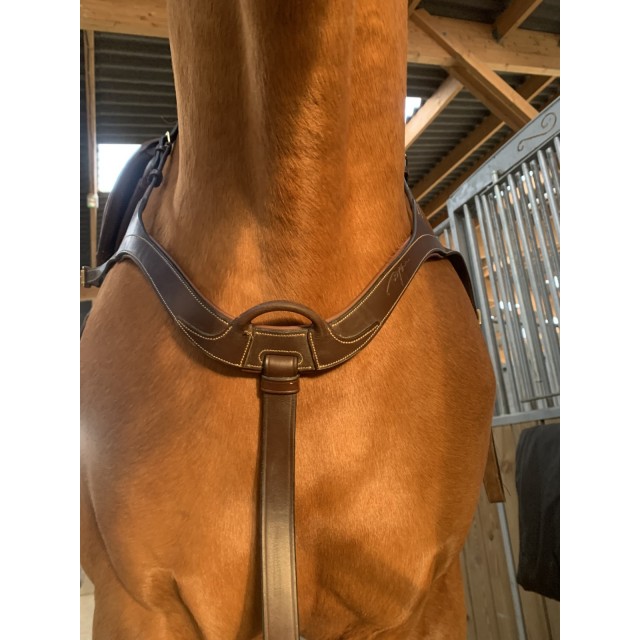 Collier de chasse DYON