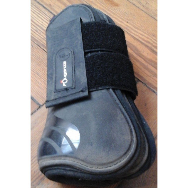 Guêtres antérieures