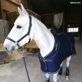 Weatherbeeta THERMOCELL COOLER STANDARD NECK - Cheval Chemise séchante couverture