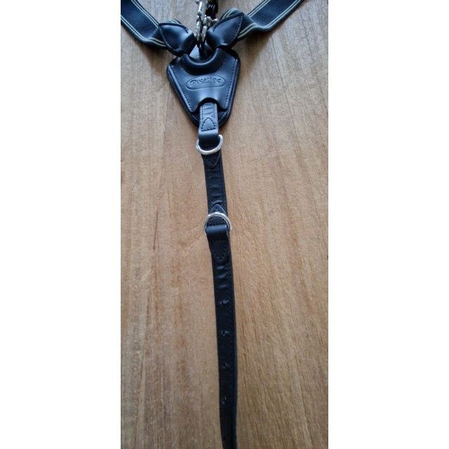 Collier de chasse avec martingale 3point