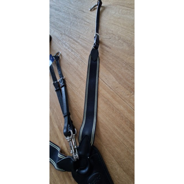 Collier de chasse avec martingale 3point