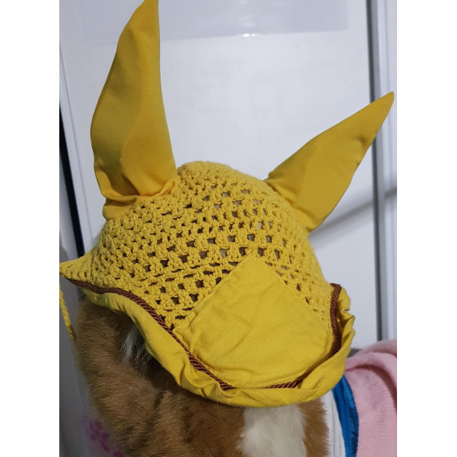 Bonnet anti mouche