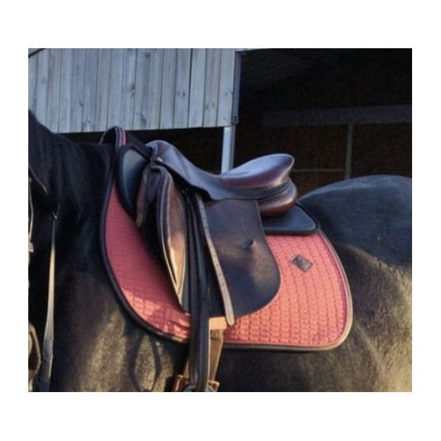 Tapis Kentucky