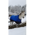 Couverture equithème imperméable 300g 125