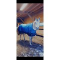 Couverture equithème imperméable 300g 125