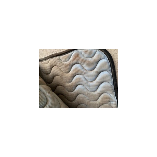 Tapis silver crown