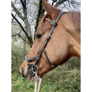 Bridon Rambo Deluxe Compétition