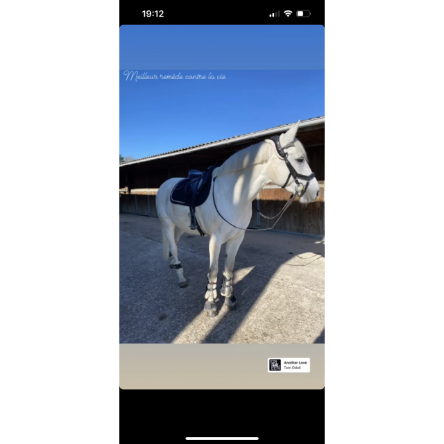 Protège boulet Equick taille M