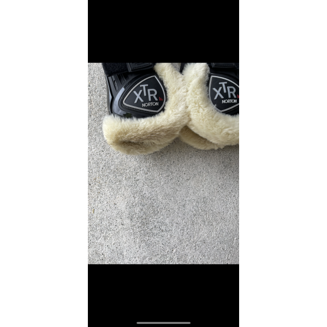 Protection Norton XTR