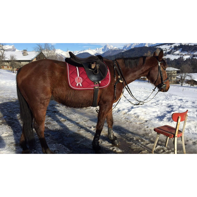 Selle T de T 17.5