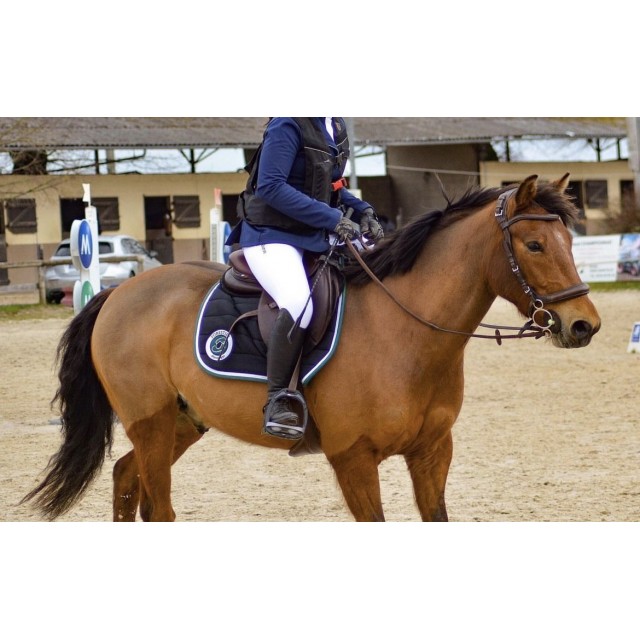 Selle PLS taille 17,5