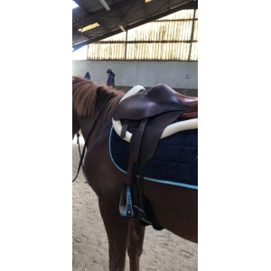 amortisseur equi-theme mouton